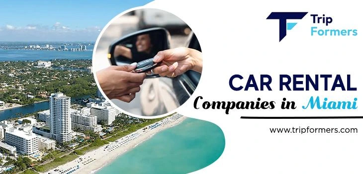 Car Rental