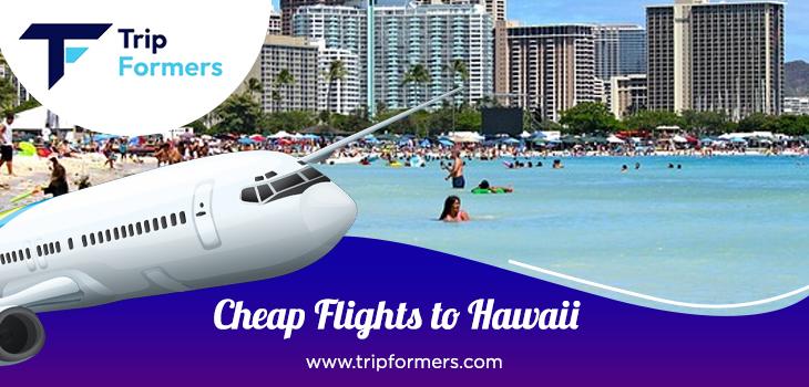 Flight Offers