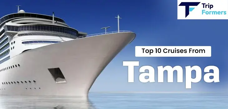 Luxury Cruises