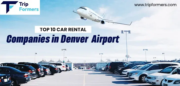 Car Rental
