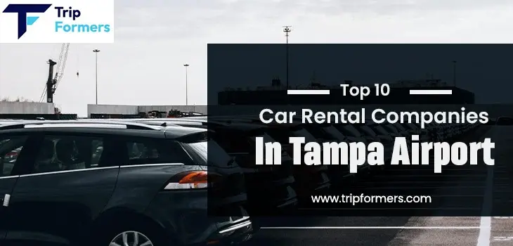 Car Rental