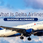 What Is Delta Airlines Baggage Allowance