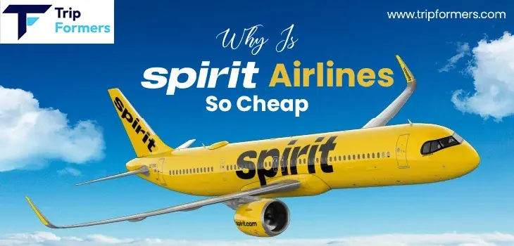 Why Is Spirit Airlines So Cheap